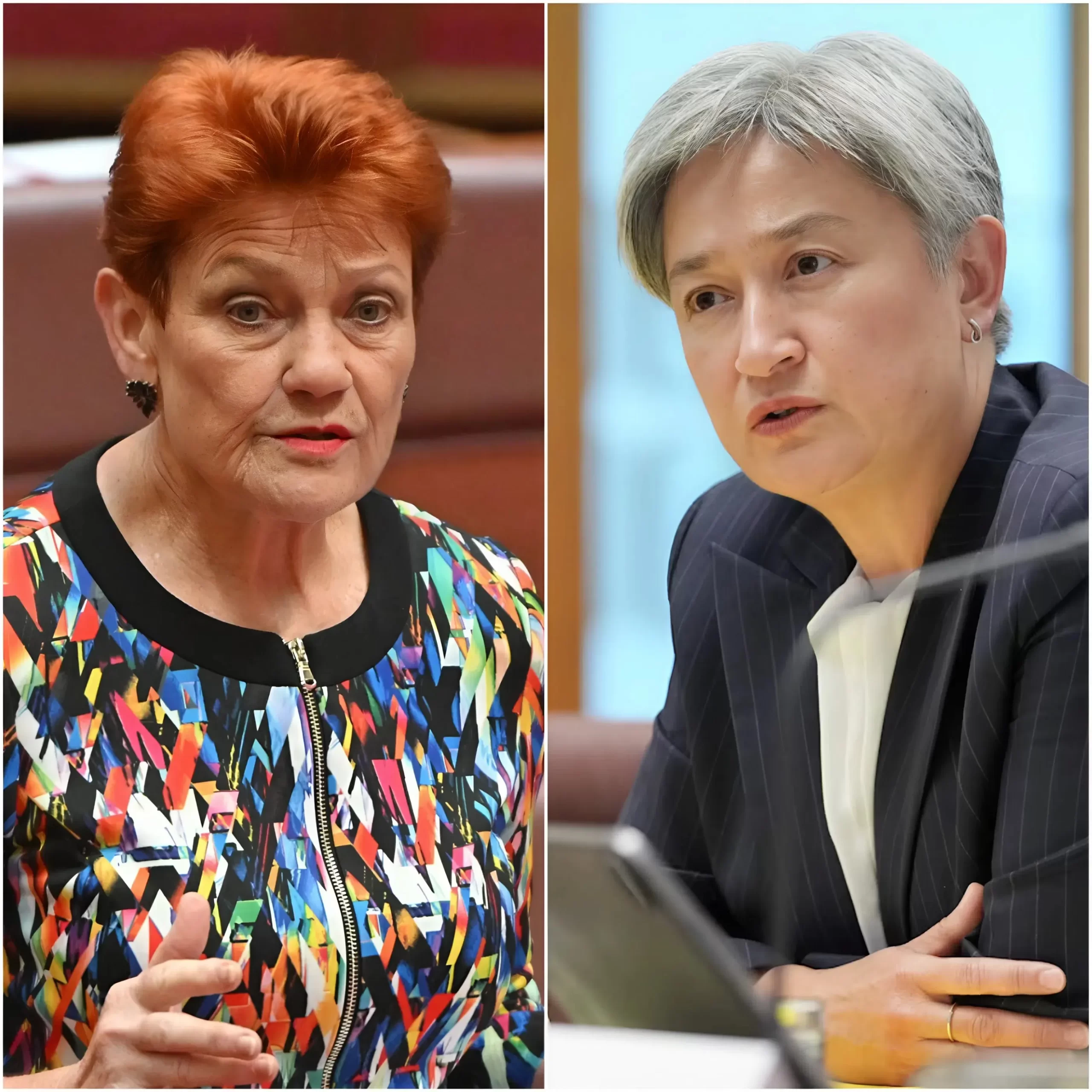 🚨 PAULINE HANSON READS PENNY WONG’S FILE OUT LOUD — AND CNN FALLS INTO STUNNED SILENCE… On live television, Pauline Hanson methodically read aloud the public record of Senator Penny Wong, line by line. No shouting. No personal attacks. No theatrics. Just a steady rhythm and carefully quoted statements, presented so calmly that the panel members seemed unsure how to react. The host hesitated. The camera lingered too long. Producers were clearly scrambling backstage. Then came the unmistakable eleven seconds of dead air — the kind of unscripted pause live television cannot handle. What Hanson chose to highlight from Wong’s record — and why no one on the panel interrupted her — quickly became the clip viewers cannot stop replaying.👇👇
