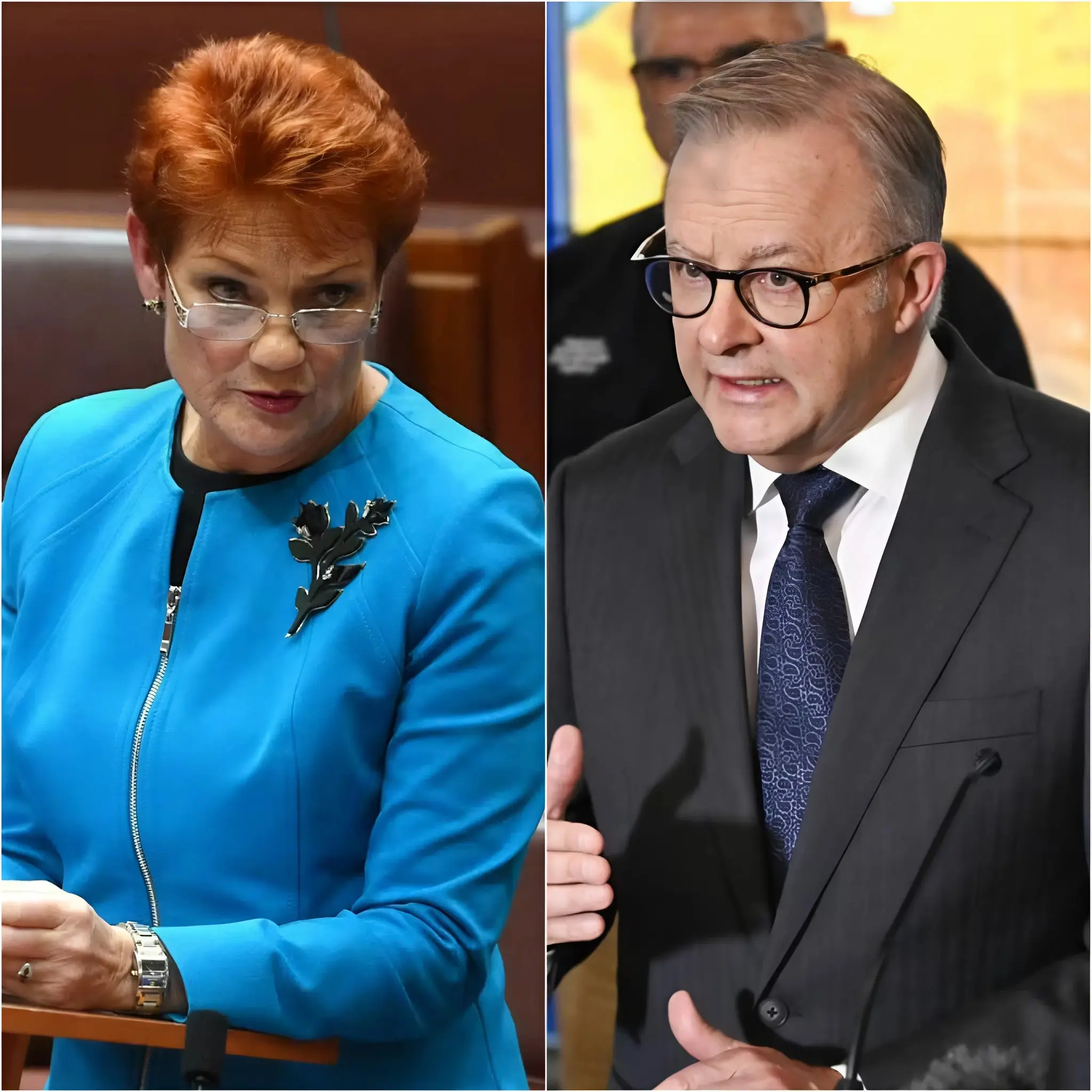 âOne more stupid word, you dumb old hag, and Iâll humiliate you on national television,â Anthony Albanese bellowed across the meeting room, his voice sharp as a razor. Conversations died mid-sentence as he leaned forward, a thin razor-like smile showing he was ready to torch Senator Pauline Hansonâs credibility right then and there. But Hanson didnât flinch. She stood tall, staring straight into his eyes with a steady gaze that seemed pre-loaded with power. The tension rose to the point of explosion. âYou want to be embarrassed?â she replied calmly, stepping toward the microphone with unhurried confidence. âLetâs see you survive this.â A murmur rippled through the Senateâshock mixed with anticipation. Alboâs smile flickered for a split second. Then Hanson dropped a verbal bomb that exploded into gasps, scattered laughter, and dead silence. Reporters hammered their keyboards as if racing against a deadline buzzer. In less than half a minute, the energy had flipped: Albo furious, Hanson composed, and the entire room erupted in utter disbelief.