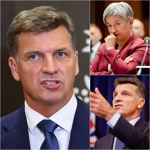 3 MINUTES AGO🛑 Conservative MP Angus Taylor – the newly elected Opposition Leader – announced a shocking amendment to the “Combatting Antisemitism, Hate and Extremism Act,” requiring only those BORN IN AUSTRALIA to hold sensitive positions in national security, intelligence, or the Home Office – directly citing the Bondi Beach massacre and the case of 34 ISIS-linked families from al-Roj camp in Syria who attempted to “escape” back to Australia but were stopped. He stated emphatically: “After Bondi and the threat from Syria, Australia cannot take any more risks! Security leaders must be genuine Australians from birth – no naturalization, no dual loyalty, no risk from those who chose ISIS over Australia!” The Coalition, One Nation, and a host of conservative voters applauded enthusiastically, calling it a “turning point for the security of Indigenous people,” with polls showing a surge in support of 15-20% in NSW/VIC/QLD. Penny Wong angrily called it a “blatant racist attack, exploiting fear to divide,” but public opinion largely supported Taylor because the fear of terrorism still lingered after Bondi. Just 12 minutes later, Angus Taylor immediately responded with a concise 11-word statement that was both brief and scathing…
