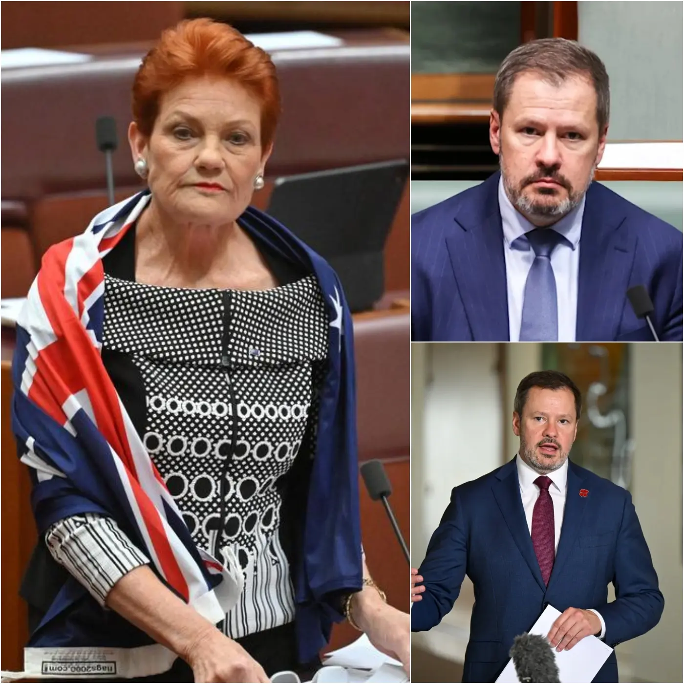 SHOCKING POLITICAL UPHEAVAL IN AUSTRALIA! In a fiery, no-holds-barred television debate that has shaken the entire nation, passionate commentator Pauline Hanson unleashed her utmost fury, declaring that the Australian public wants to deport ALL MUSLIMS – without exception! This ferocious attack targeted Muslim MP Ed Husic, causing complete chaos and igniting a storm of controversy over immigration, national identity, and minority rights!