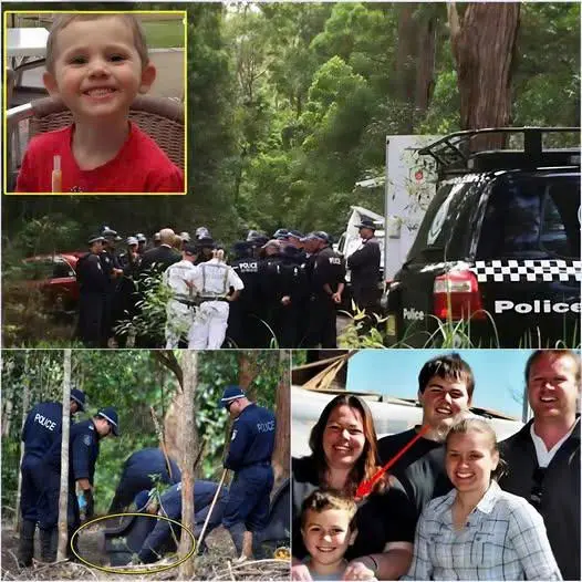 🚨 SHOCKING NEWS: Ten years of wilderness silence have finally been broken by a mother’s heart-wrenching scream! William Tyrrell has been found, but the truth behind his disappearance is more horrifying than any horror movie. It wasn’t just a kidnapping; police are investigating an international human trafficking ring involving the most powerful. “They enslaved my son,” his mother sobbed.