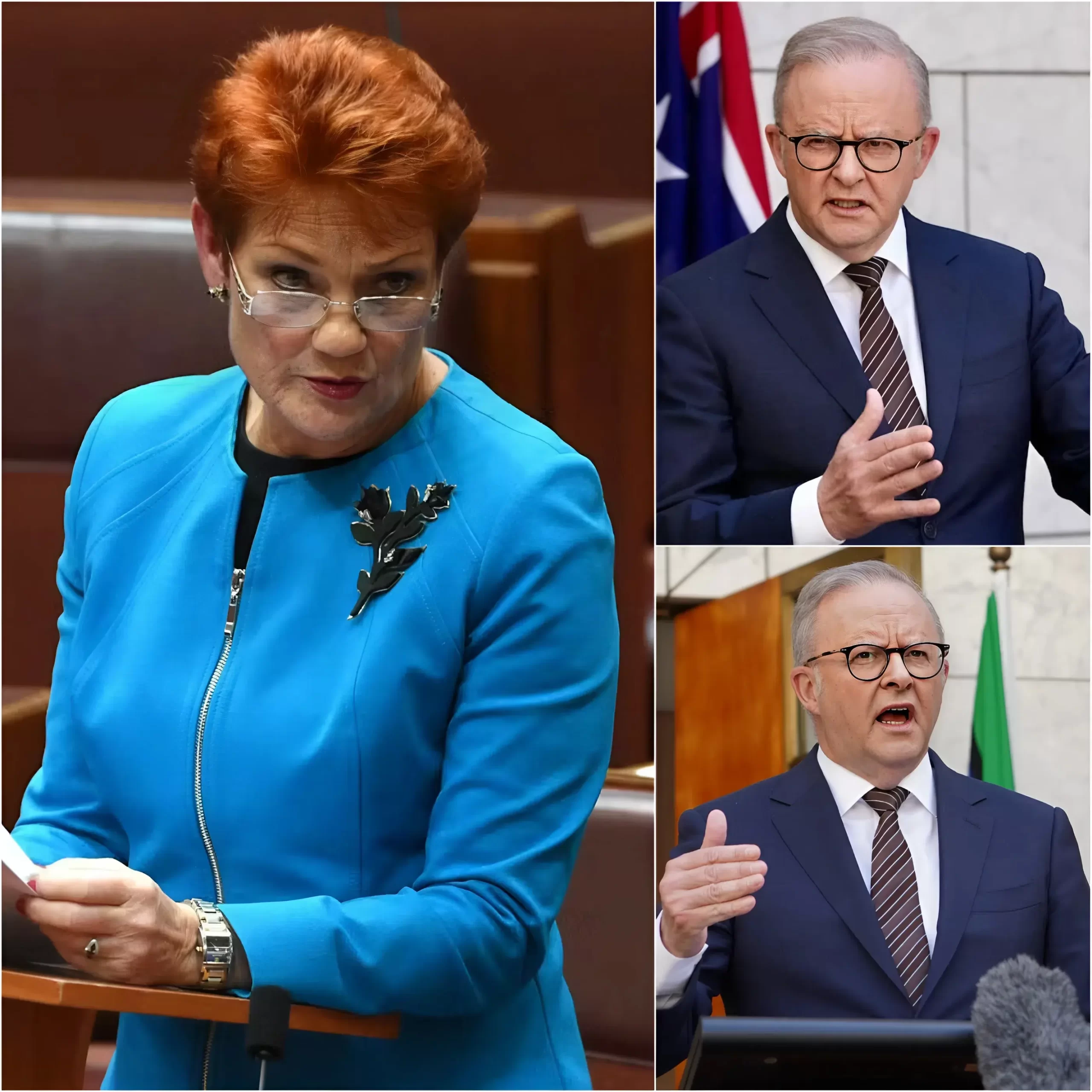 🚨BREAKING NEWS: A motion of reprimand has been filed against One Nation leader Pauline Hanson following her latest remarks about Muslims that have sparked a political storm in the Australian Parliament. Anthony Albanese immediately criticized the comments, arguing they risked increasing religious tensions and undermining Australia’s multicultural values. He threatened to remove her from office as a deterrent, stating that Parliament has a responsibility to draw clear lines when language targets religious communities. However, Hanson and her allies defended the remarks as part of a broader debate on immigration, security, and freedom of speech, asserting that such criticism tantamounts to political censorship. Then she made an eight-word statement, and her words went viral on social media… The full story is in the comments below 👇👇👇v