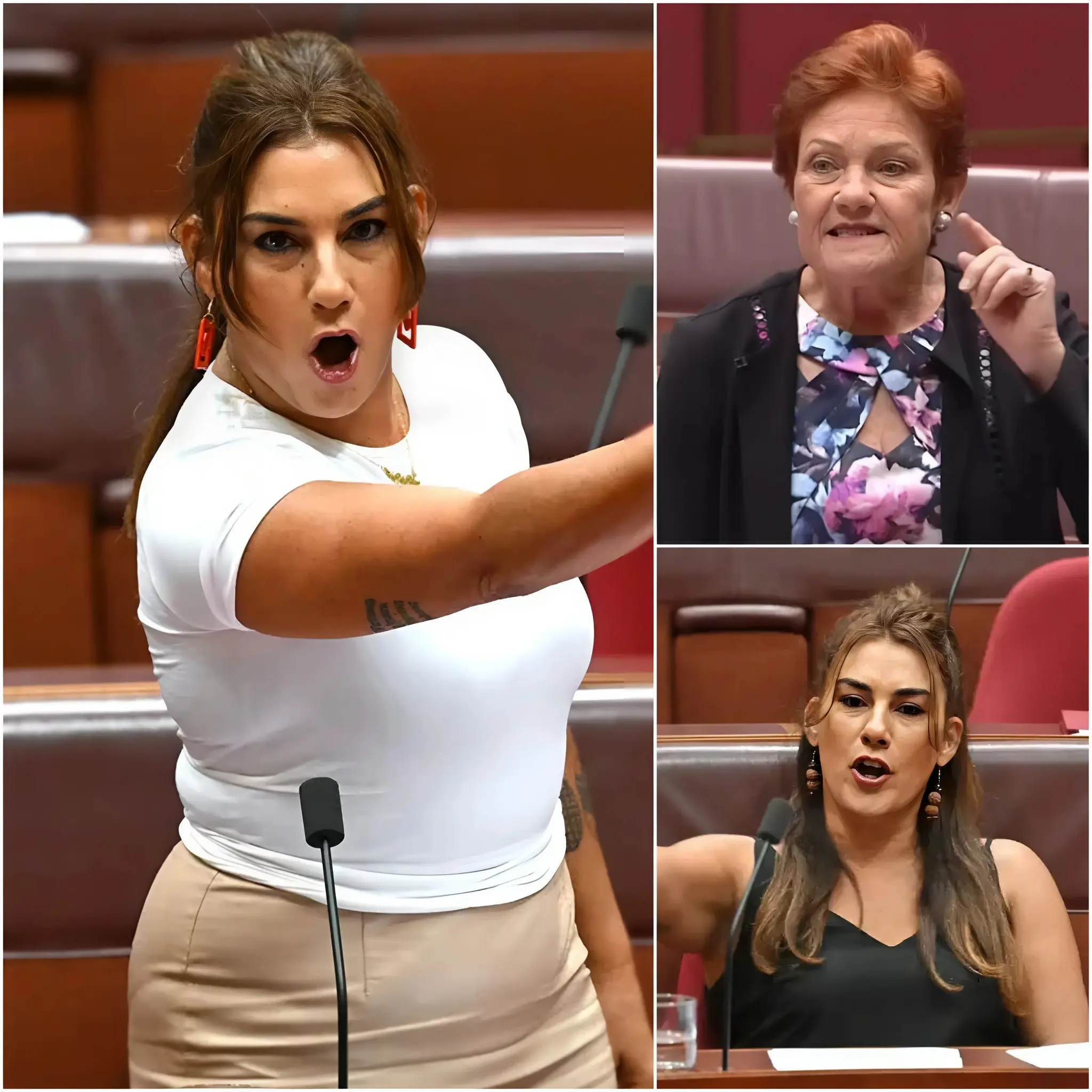“HOW CAN A RACIST BE ALLOWED TO BECOME PRIME MINISTER?” – Lidia Thorpe has ignited a political firestorm by calling for Pauline Hanson to be barred from participating in any form of federal government formation. Thorpe’s call comes after Hanson publicly referred to her as a “b***h,” sparking intense national controversy. The independent senator emphasized that allowing a figure with a record of racially divisive remarks to influence national governance raises serious ethical concerns and threatens the credibility of Australia’s democratic institutions. Social media reactions spread rapidly, with citizens expressing strong support for Thorpe’s stance while sharply criticizing Hanson’s history of controversial statements.