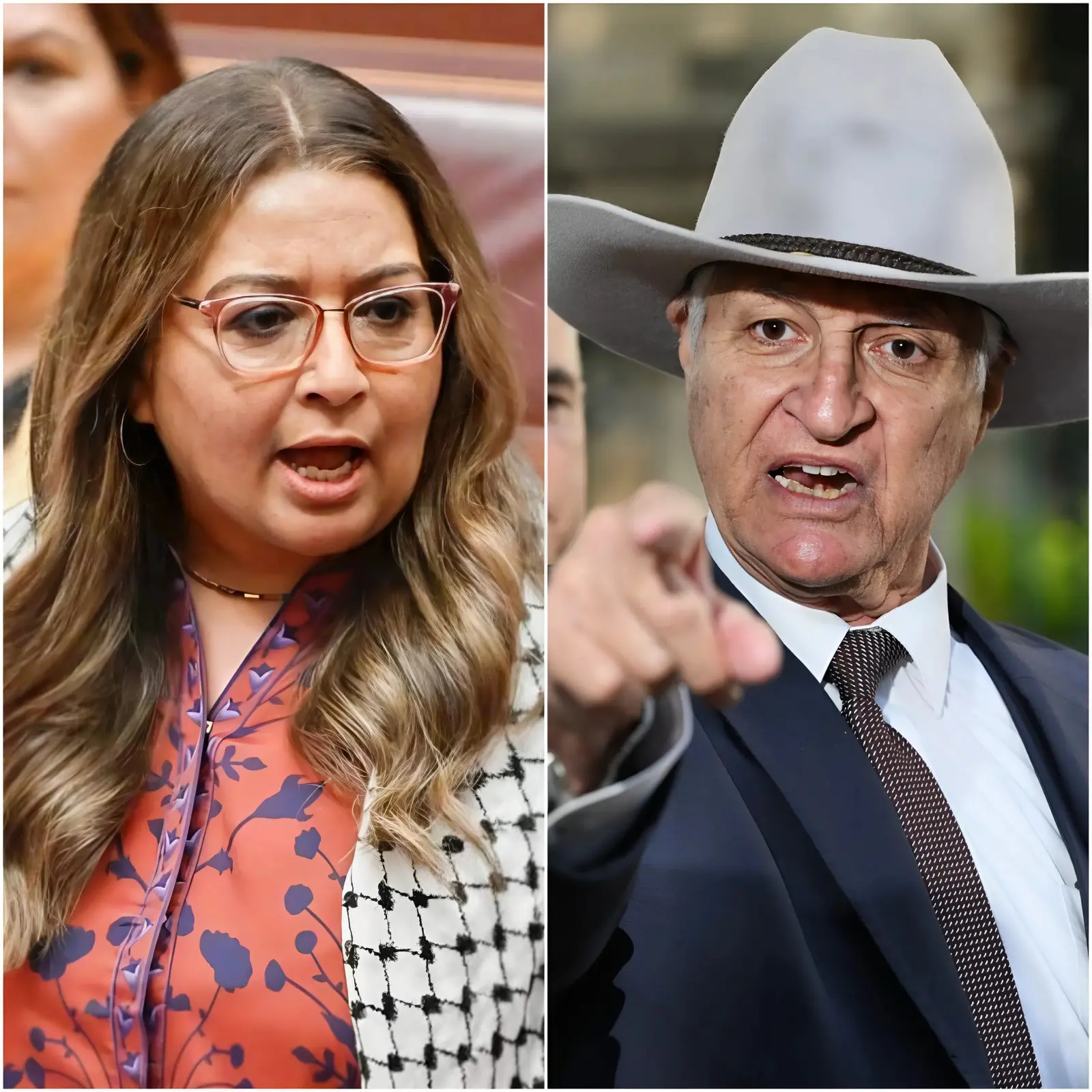 10 MINUTES AGO: “PACK YOUR BAGS AND GET OUT OF AUSTRALIA” Those words echoed through the Senate chamber in Canberra, aimed directly at Mehreen Faruqi like a twelve-barreled shotgun loaded with salt. Senator Bob Katter of Queensland didn’t need to shout. He simply spoke out about Mehreen Faruqi’s past behavior, leaving her unable to retaliate.