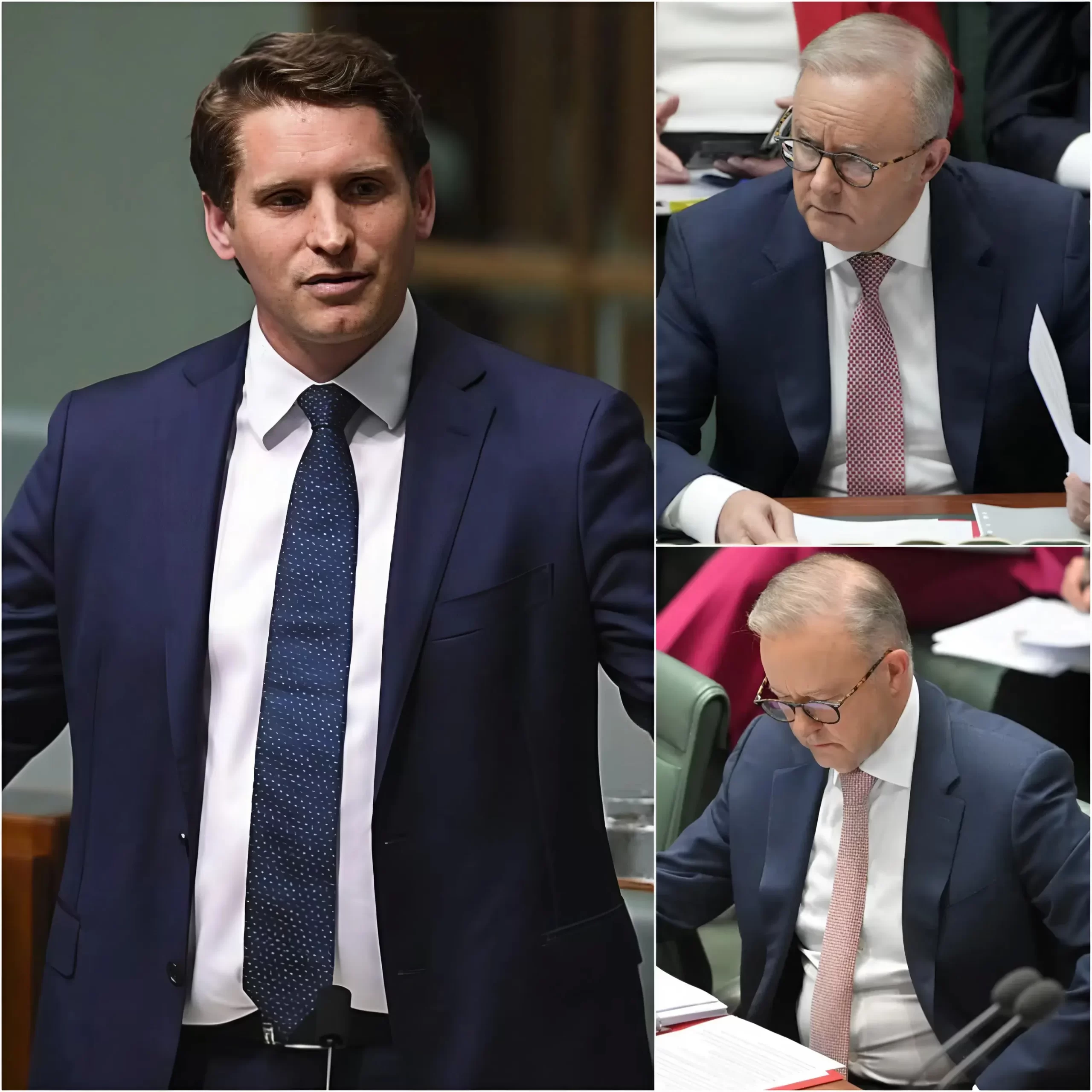 “GET RID OF THEM FROM AUSTRALIA! WE CANNOT LIVE WITH PEOPLE WHO BETRAYED OUR COUNTRY TO FOLLOW TERRORIST ELEMENTS OF OUR NATION, PUT THEM IN PRISON OR LET THEM RETURN TO WHERE THOSE SCUM BELONG” Andrew Hastie EXPOSED all the evidence of Albo