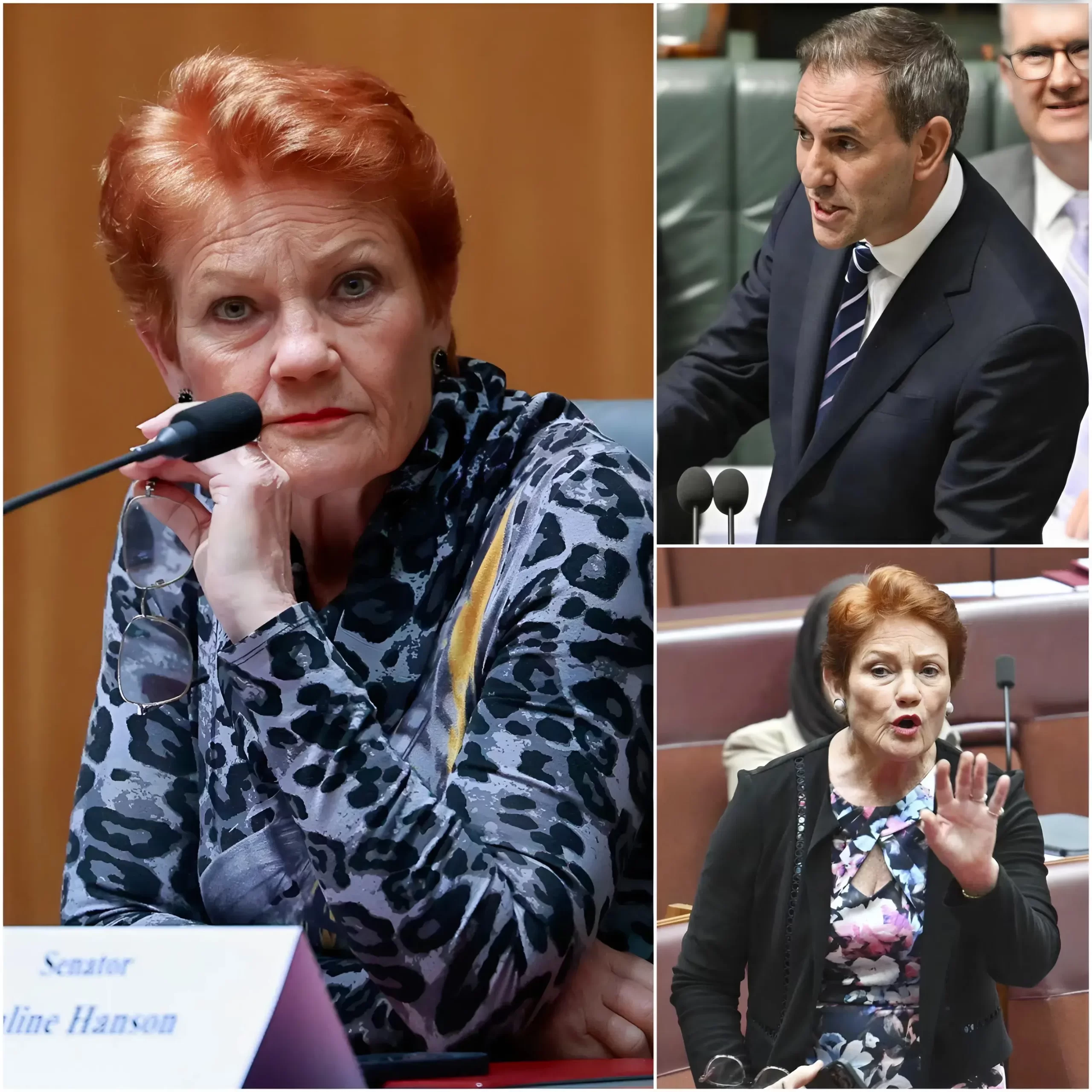 “THEY ARE CELEBRATING ON THE VERY BLOOD AND SWEAT MONEY OF THE PEOPLE” — Pauline Hanson of Pauline Hanson’s One Nation fiercely criticized the Australian Labor Party in the Australian Senate as the government continues to collect enormous revenue from fuel taxes while Australians struggle with rising living costs.