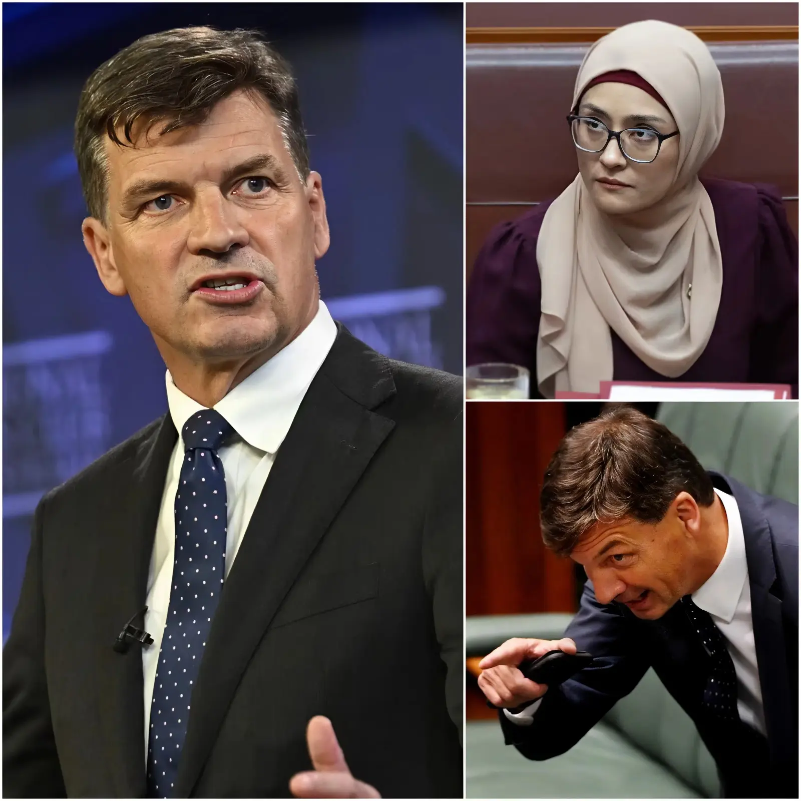 FATIMA PAYMAN’S $15M DEFAMATION SUIT AGAINST ANGUS TAYLOR COLLAPSES IN COURT: ONE WHISTLEBLOWER’S 9-SECOND BOMBSHELL TESTIMONY DESTROYS HER REPUTATION – “SHE SIGNED EVERY SHADY CLAIM”