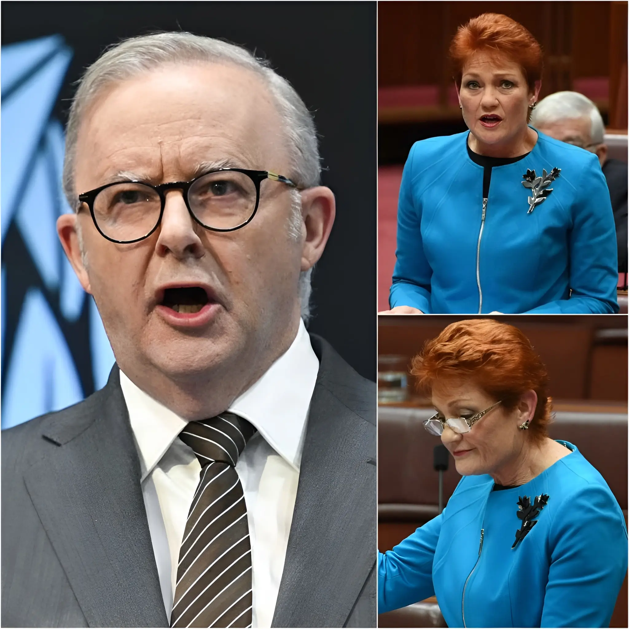 “ALBANESE FURIOUS AND WANTS TO EXCLUDE AUSTRALIANS DEMANDING PAULINE HANSON AS PRIME MINISTER”