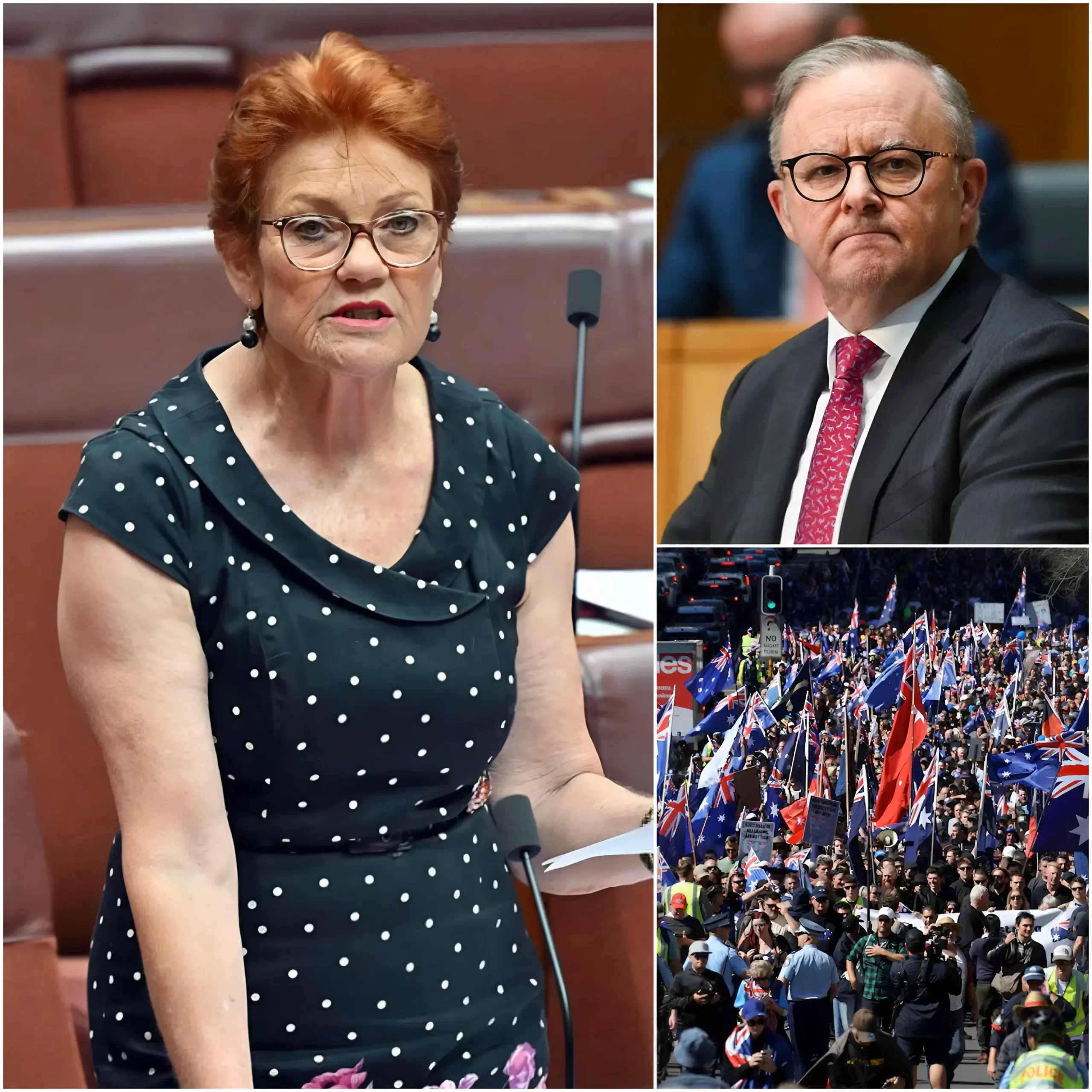 🚨 EXPLOSIVE CLASH: Pauline Hanson SLAMS Anthony Albanese IN FIERY SHOWDOWN OVER DIGITAL FREEDOM & PARENTAL RIGHTS 🔥🇦🇺 “YOU WILL ROT IN PRISON” — Canberra has erupted after Pauline Hanson launched a fierce attack on Prime Minister Anthony Albanese, accusing his government of overreach, censorship, and trampling on parental rights.