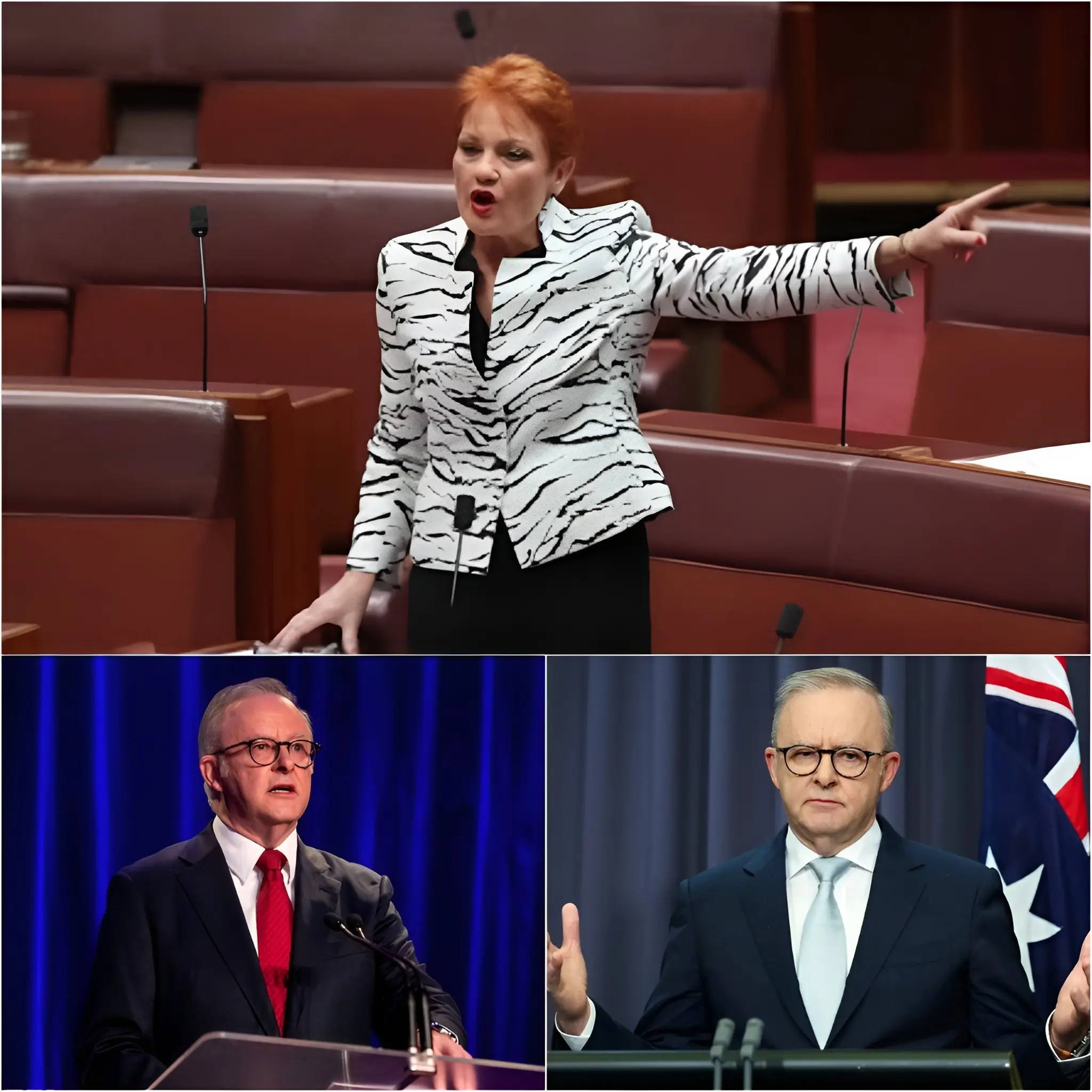 🚨 3 MIN AGO! Pauline Hanson SET TO CELEBRATE as SHOCK POLL Boosts One Nation🔥