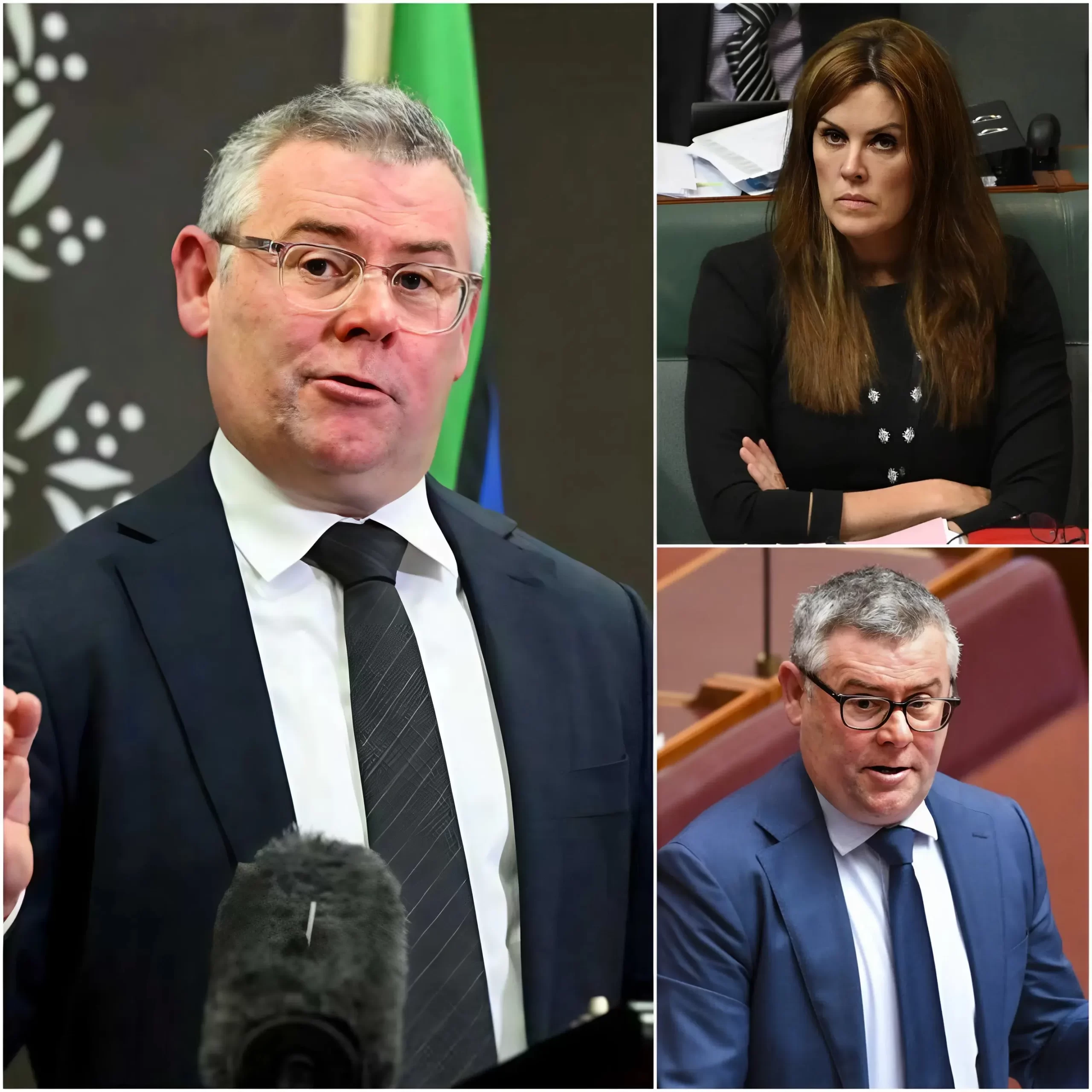 “Your mouth is saying things your brain can’t deliver!” — a line that cut through the tension of a live televised debate in Australia like a knife. In an attempt to turn the tide, Minister Murray Watt tried to set a trap with a series of sharp questions, targeting what he believed were his opponent’s most critical weaknesses.