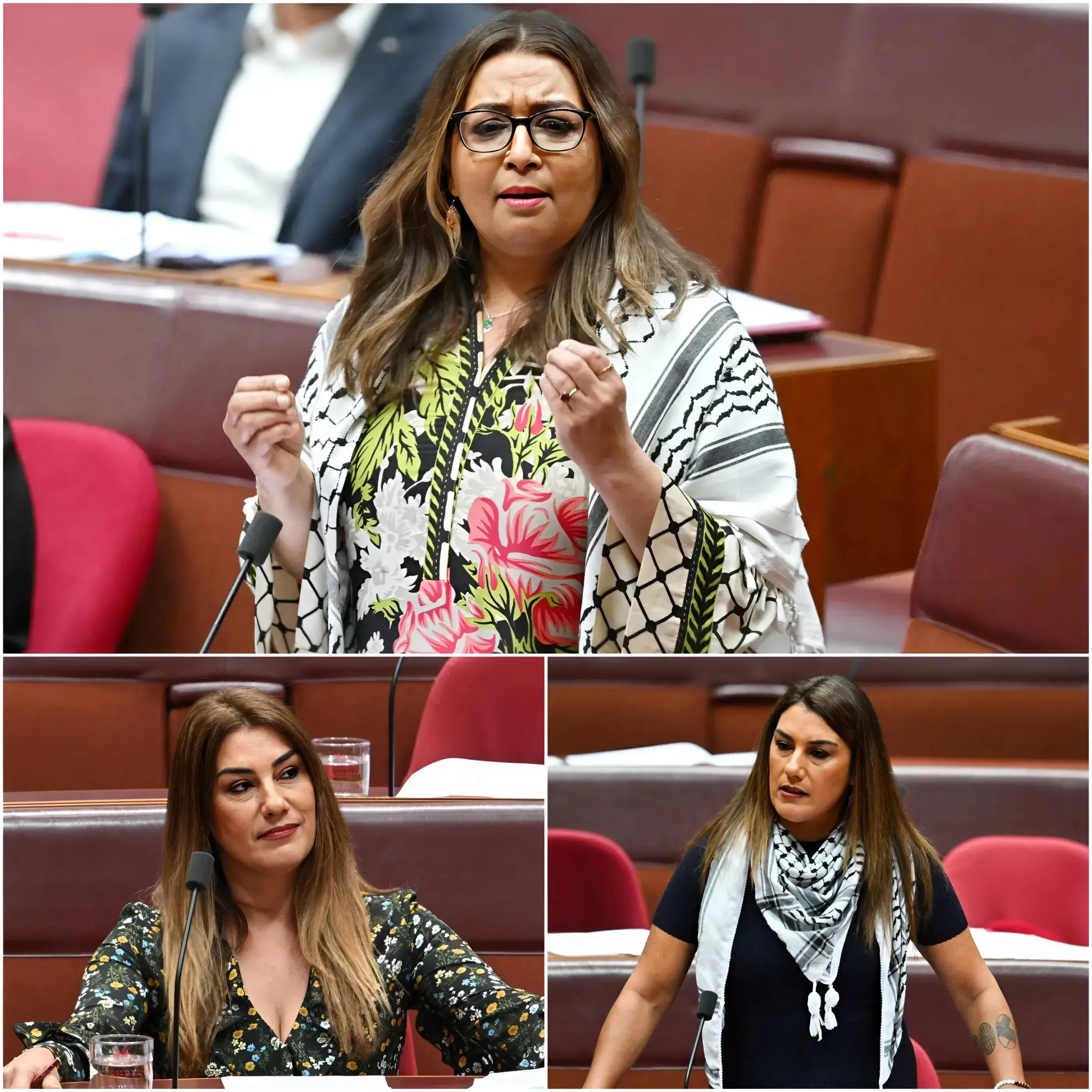 🚨 “YOU WHITE PEOPLE CAN’T EVEN UNDERSTAND BASIC ENGLISH!” — Mehreen Faruqi Defends Lidia Thorpe’s ‘Burn Down Parliament’ Rant In R.a.c.ist Senate Attack