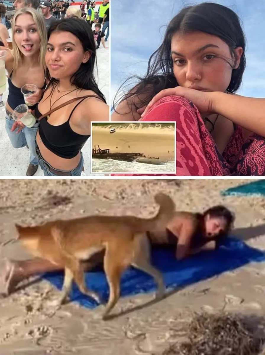 JUST NOW : Australian police have re-determined the cause of Piper James’s death — it wasn’t a stray dog bite as initially reported. The truly horrific cause has led to a nationwide emergency alert. Watch the VIDEO below… 👇👇