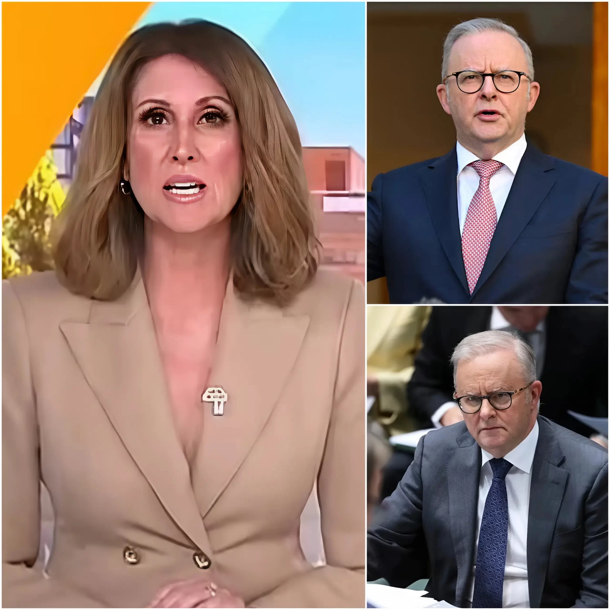 🚨”STOP PRETENDING” Natalie Barr EXPLODED live on Sunrise when she said Albo and his Labor Party are a bunch of fakes, pretending to help people with wind turbines and renewable energy but DESTROYING all the wildlife across the fields