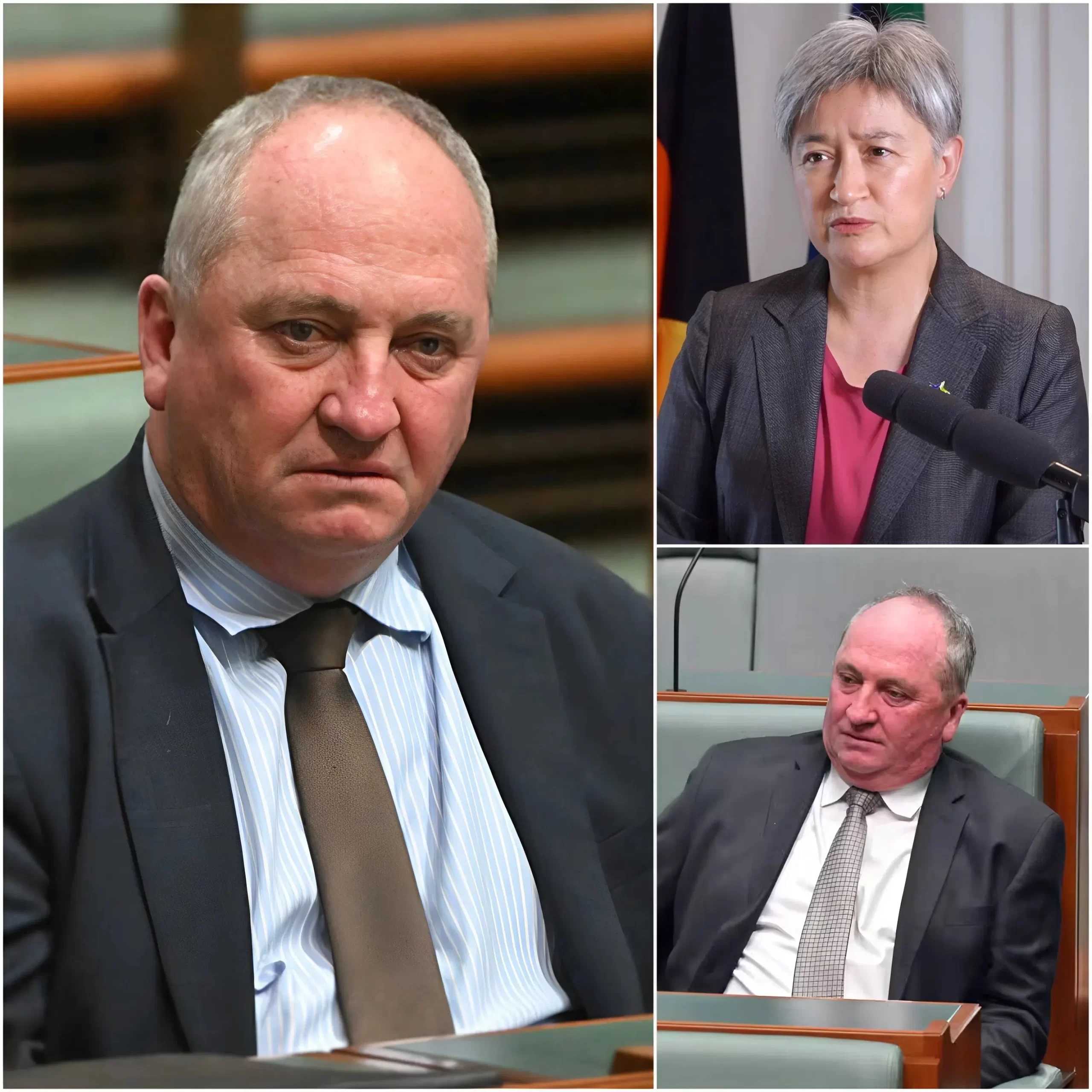 🚨“ONLY THOSE BORN IN AUSTRALIA SHALL BE PERMITTED TO HOLD POSITIONS OF POWER, AND DUAL CITIZENSHIP WITHIN PARLIAMENT SHALL BE STRICTLY PROHIBITED.”