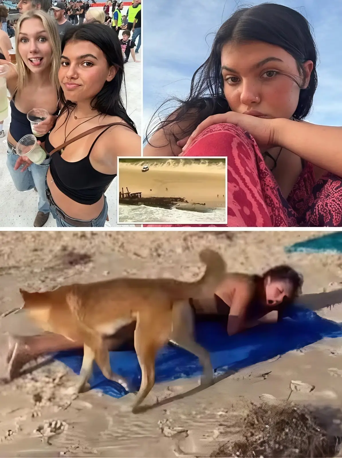 JUST NOW IN CANADA : Police have re-determined the cause of Piper James’s death — it wasn’t a stray dog ​​bite as initially reported. The truly horrific cause has led to a nationwide emergency alert. Watch the VIDEO below…