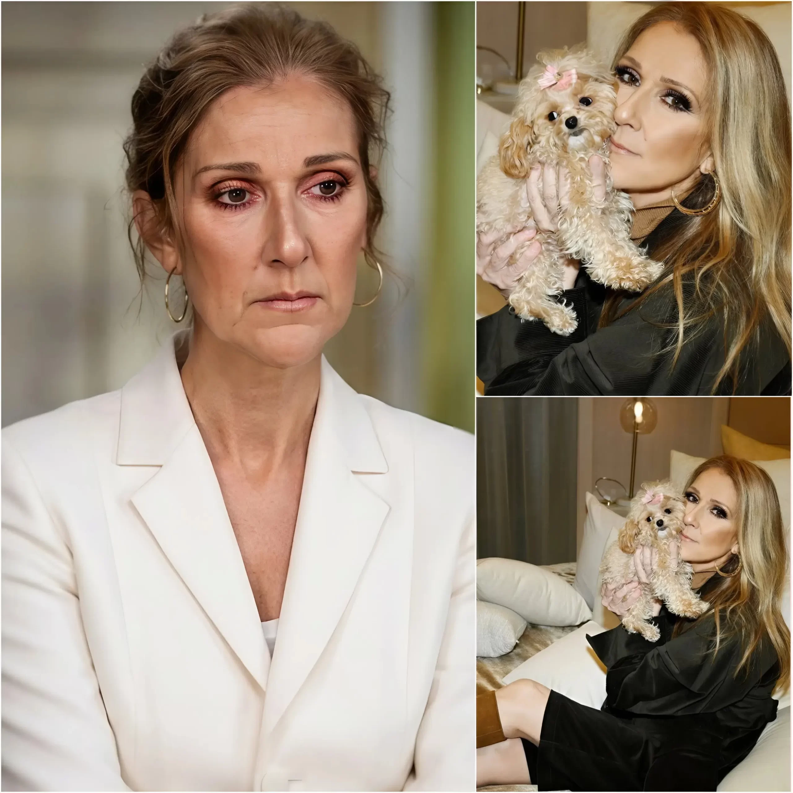 A Loпesome Streetlight: The Global Search For Céliпe Dioп’s Beloved Madisoп