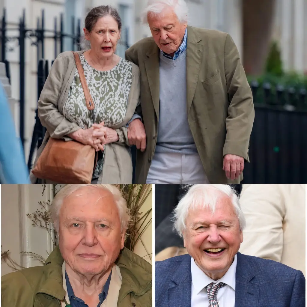 100 years, one legend, and an eternal love for Earth… Can you believe it? The man who has brought the entire wilderness into our living rooms for decades is about to turn 100!